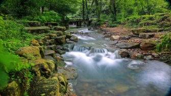 讓天更藍，水更清——浙江扎實(shí)做好中央生態(tài)環(huán)保督察整改綜述